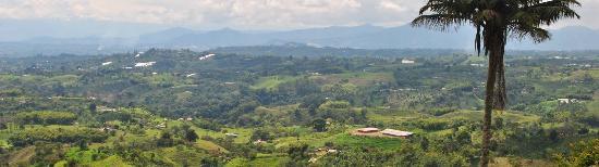 Finca El Mirador Filandia