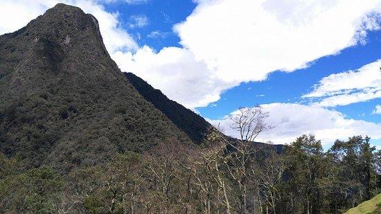 Ruta Andina